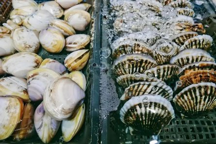 【進出口知識】出口水產品養殖場備案